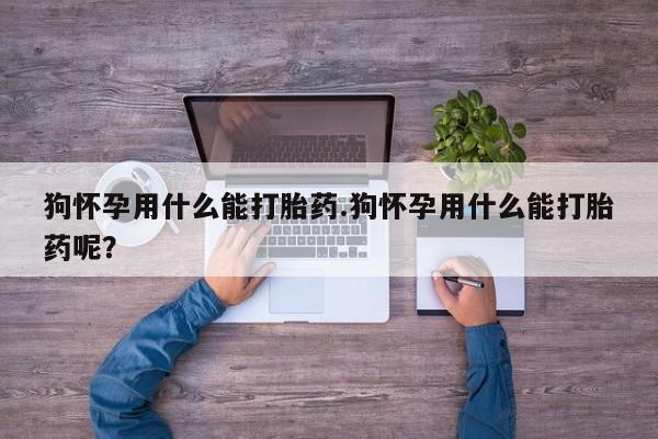 打胎药米非司酮网店,狗怀孕用什么能打胎药.狗怀孕用什么能打胎药呢？