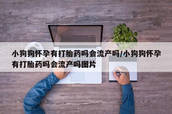 打胎药米非司酮网店,小狗狗怀孕有打胎药吗会流产吗/小狗狗怀孕有打胎药吗会流产吗图片