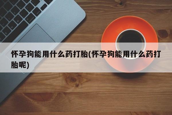 打胎药米非司酮网店,怀孕狗能用什么药打胎(怀孕狗能用什么药打胎呢)